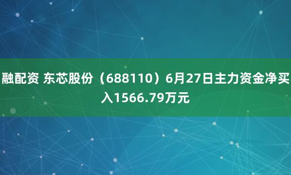 融配资 东芯股份（688110）6月27日主力资金净买入1566.79万元