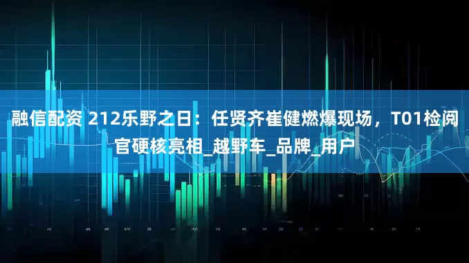 融信配资 212乐野之日：任贤齐崔健燃爆现场，T01检阅官硬核亮相_越野车_品牌_用户