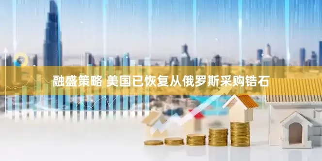 融盛策略 美国已恢复从俄罗斯采购锆石
