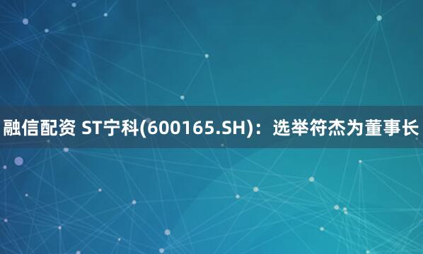 融信配资 ST宁科(600165.SH)：选举符杰为董事长