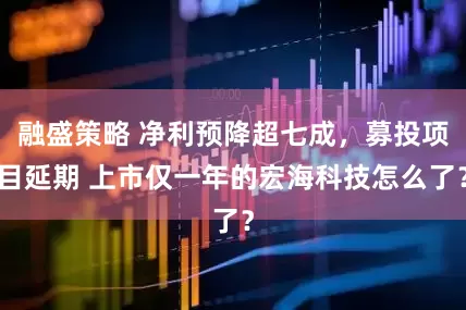 融盛策略 净利预降超七成，募投项目延期 上市仅一年的宏海科技怎么了？